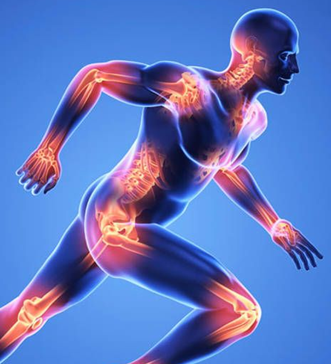 Spine Rehabilitation Centre in Sarojini Nagar Delhi